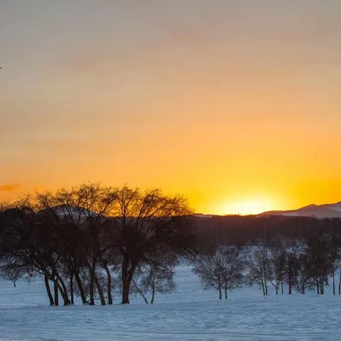 冬雪内蒙，画意风景