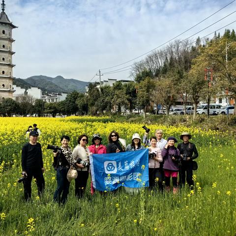 黄花婺源春灿烂