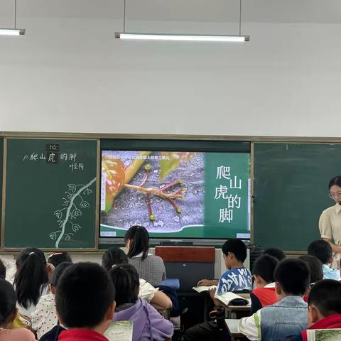 展现教师风采，提升教学质量 ———青石实验小学青石街校区