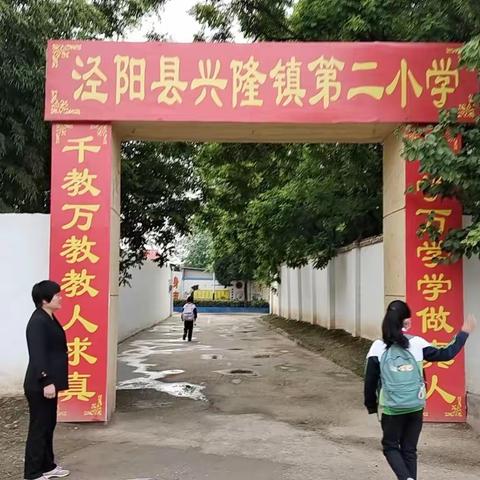 夏日已至，风华正茂——兴隆镇第二小学第十四周工作总结