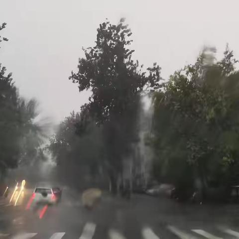 以“雨”为令，暴风雨无情，人有情——纱厂执法队在行动