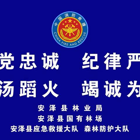 多点发力  全民参与 筑牢森林防火安全屏障