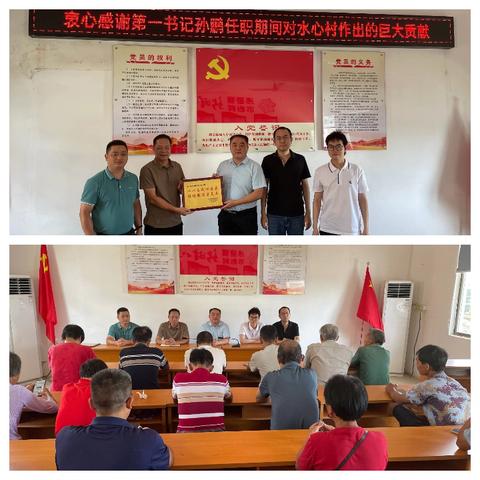 水心村：推进广金钱草种植农光互补 助力集体经济发展