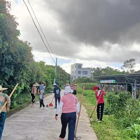 水心村委会持续开展人居环境整治工作