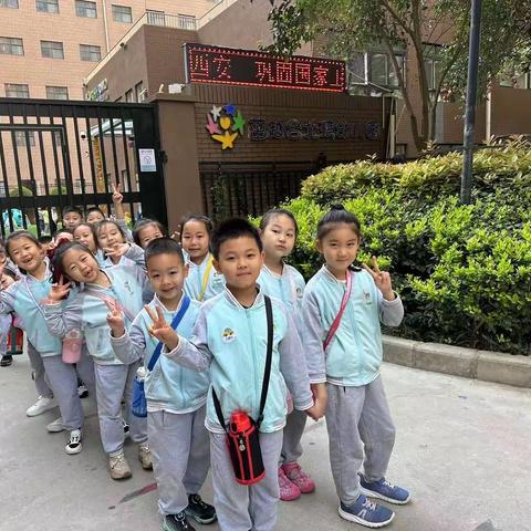 我看到的图书馆