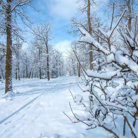 【安全提示】低温雨雪冰冻等极端天气致家长的一封信