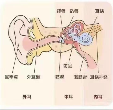 “爱耳护耳，健康伴我成长”