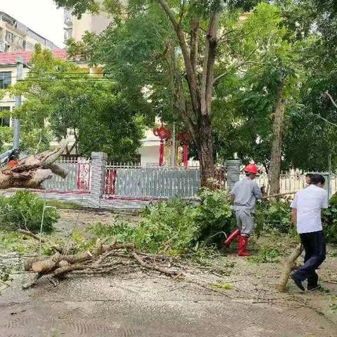 风雨同舟 共克艰难 —— 白沙县两新党组织积极投身灾后复工复产