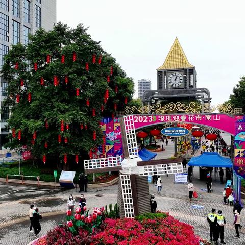 醒狮献瑞，玉兔呈祥，花美人欢——南山迎春花市精彩启幕