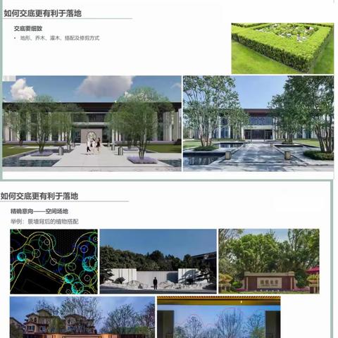 植物设计如何落地