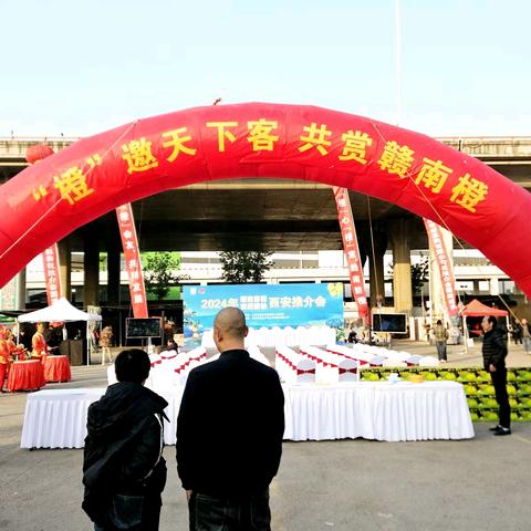 “橙”邀天下客 共享赣南橙