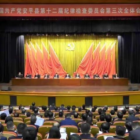 安平县第十二届纪律检查委员会 第三次全体会议召开