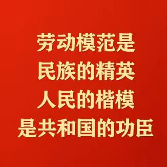 “劳动践于行，美德润于心”——枣庄十五中光明路校区劳动教育周活动