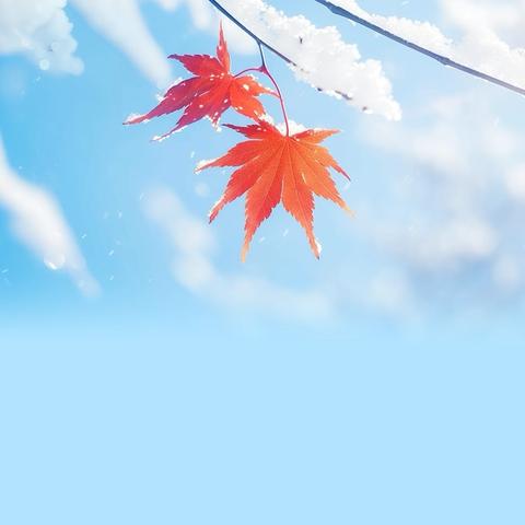 寒冬送温暖救助倡议书