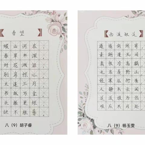 翰墨飘香 笔韵悠扬  淮阳五星学校八年级语文——硬笔书法比赛