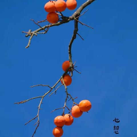 以爱为伴   快乐成长——一年级21班“家长进课堂”活动