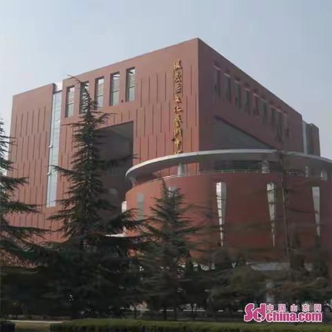 民俗剪纸《菊花之美》国学体验活动—张店区少儿图书馆  张店区和平小区小学五（1）中队张皓翔