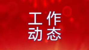 【工作动态】高村镇中心校开展阶段视导检查工作