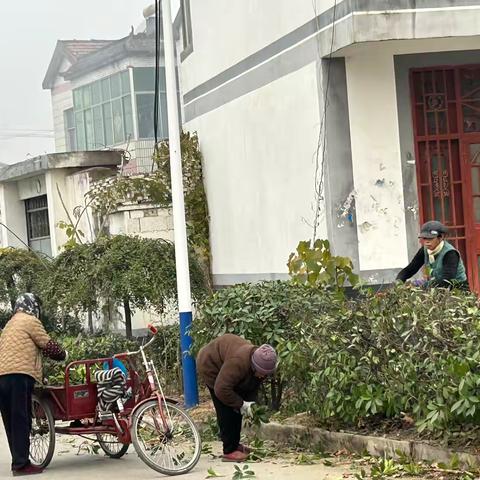 【新时代文明实践站铜山在行动】魏集村开展冬季绿化区域修剪清理工作