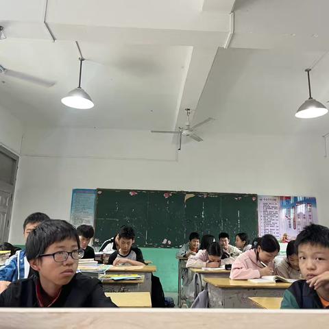 班级共读《骆驼祥子》活动侧记