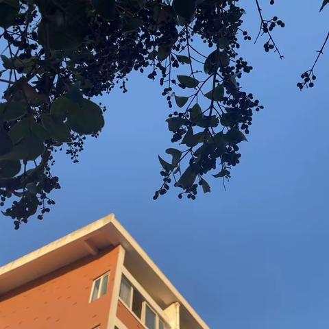 《宿舍文化节：带着班主任搞事情》