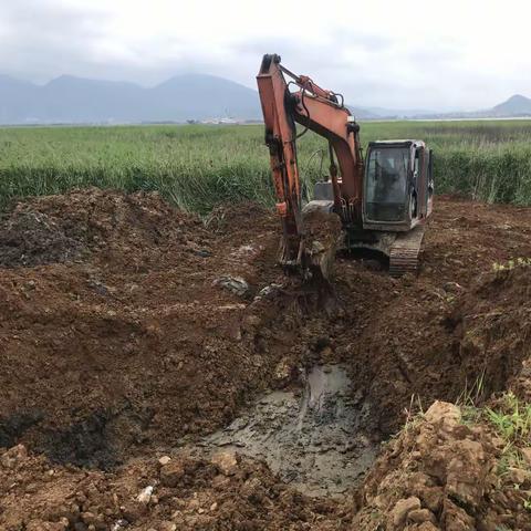 2024年05月21日“违章违约处理单”照片