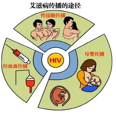 艾滋病的传播途径