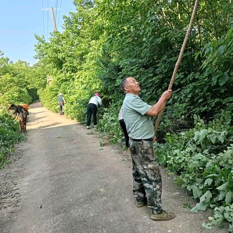 银宝湖乡人居环境综合整治月报