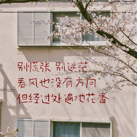 贝尔安亲钢四小校区周总结 ‍ ‍六月半夏，光阴如禅， 盼四季无恙，落落清欢。 ‍ ‍