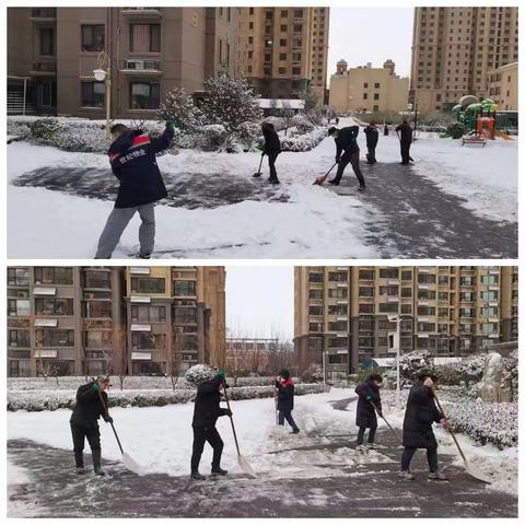 交易所开展清雪除冰活动