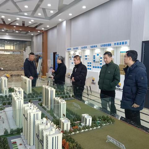 局领导王培金到开发企业开展专项检查