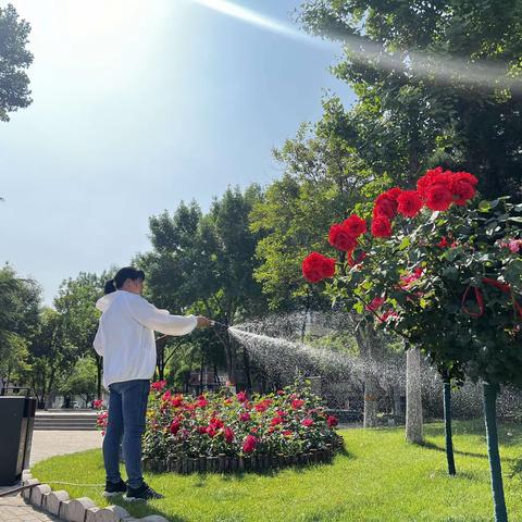 为树木“解渴”    给城市“净颜”