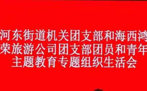 河东街道机关团支部和海西鸿荣旅游公司团支部 联合召开团员和青年主题教育专题组织生活会