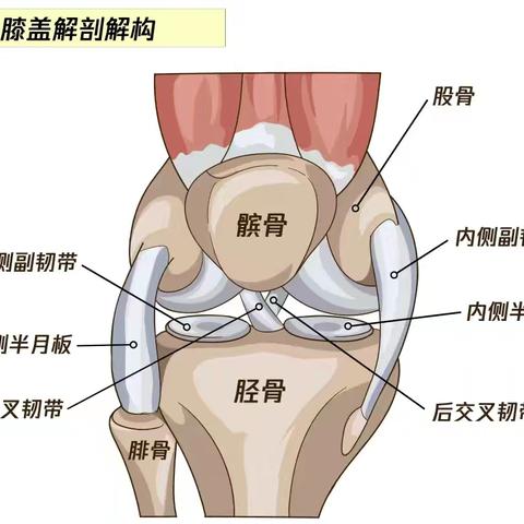 膝关节疼痛，应该做哪些检查？