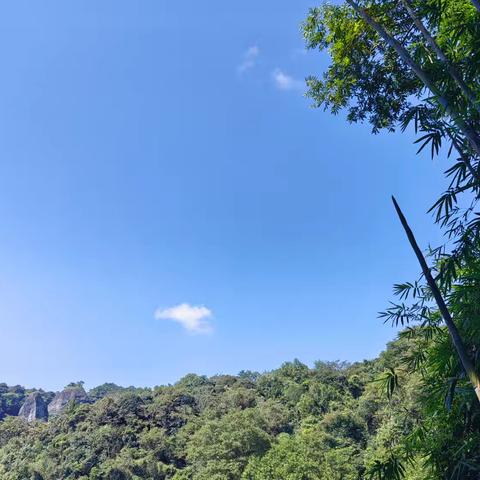 程龙杨梅村富坑 酒壶石之行