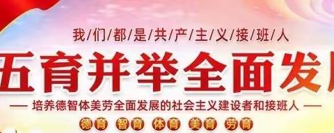 【践行“教学评”一体化 ，打造高效美育课堂】 —第五小学党支部主题党日活动