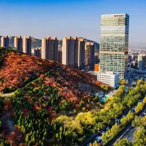 中海“城市管家”深耕品质市中