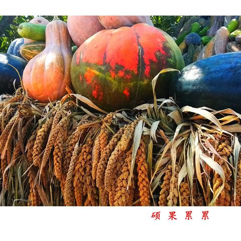 重阳登高看土城《诗与秋色》