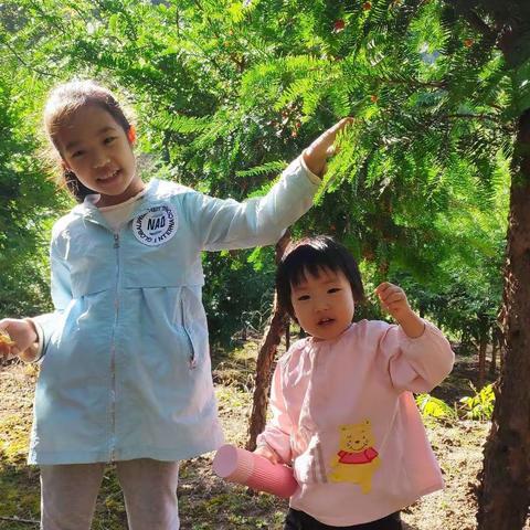 逸夫小学三（1）班李伊诺 我与画画---寻找内心平静的旅程