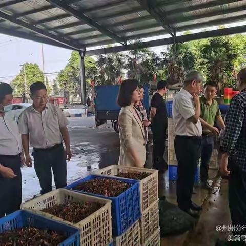 追风赶月莫停留，平芜尽处是春山——工行荆州监利支行成功发放全省首笔“兴农虾e贷”