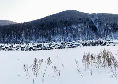 “南方老土豆”之威虎山雪村行