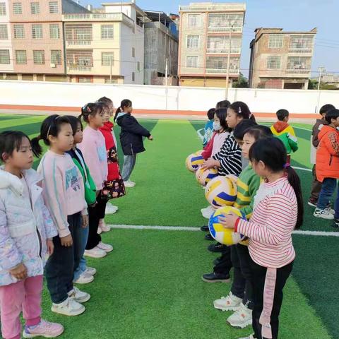 排球🏐社团