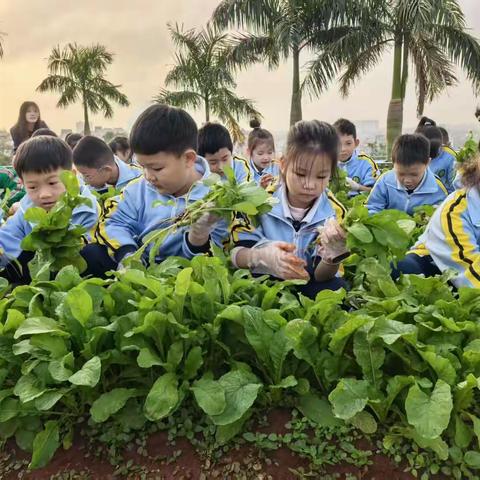 课题教学研究课