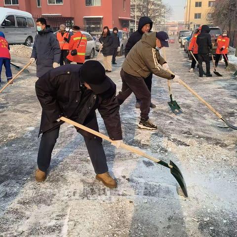 以雪为令，情暖社区——住建局组织开展破冰除雪志愿服务