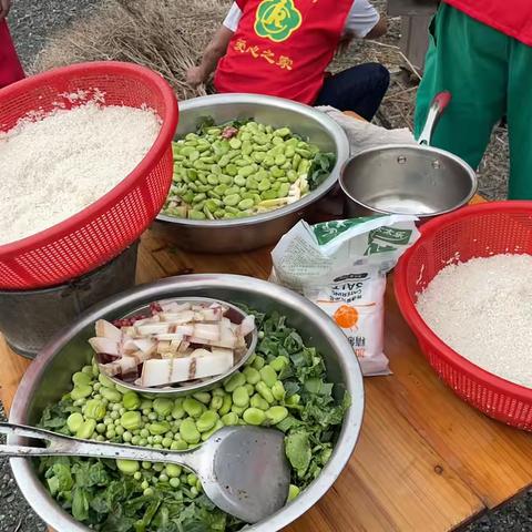 品味自然，乐享野炊