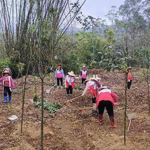 春风三月学雷锋 植树护绿树新风