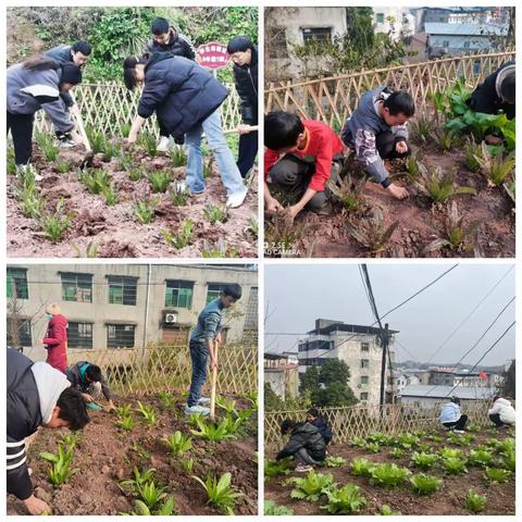 磨溪初中劳动实践活动