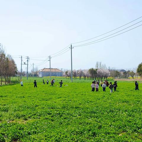 “食”知清明——祝楼乡蓝一幼儿园大二班清明节食育课程