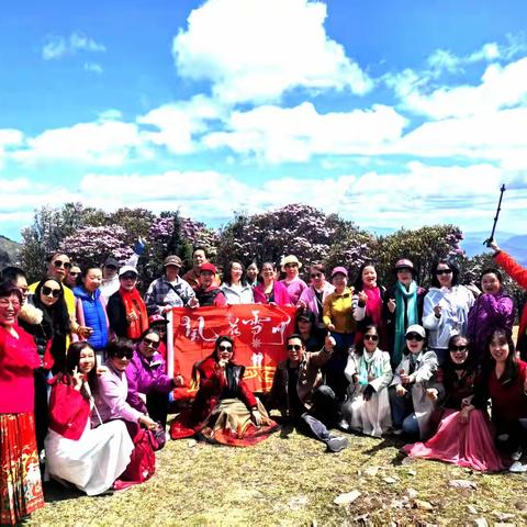 莫负好春光，快去赏杜鹃……