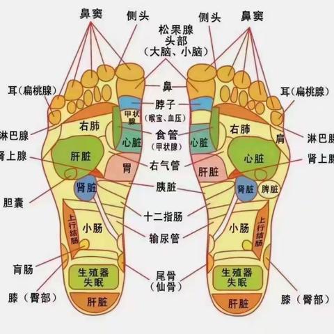 穿步力宝智能按摩鞋的好处 1、舒适——鞋型合理面料舒适 2、轻便——高科制鞋技材料 3、透气——不汗脚不臭脚 4、气色好——足底按摩气血通畅脸色好 5、皮肤好——垃圾毒素代谢好 6、脾胃好——五脏六腑足底反射调理